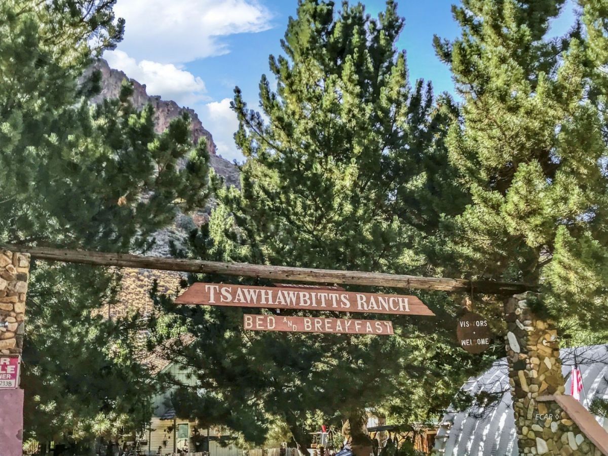 Jarbidge, Elko County, NV Commercial Property, House for sale Property