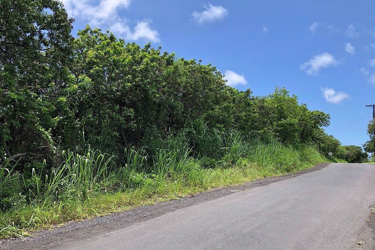 Naalehu, Hawaii County, HI Undeveloped Land for sale Property ID