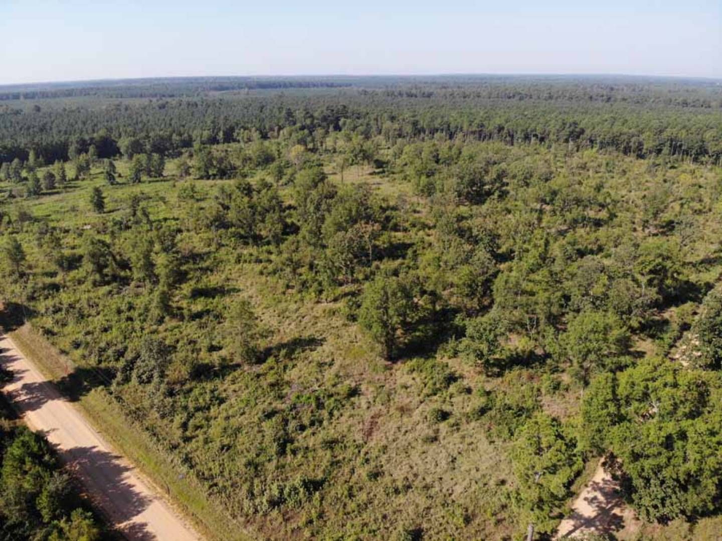 Haworth, McCurtain County, OK Undeveloped Land for sale Property ID