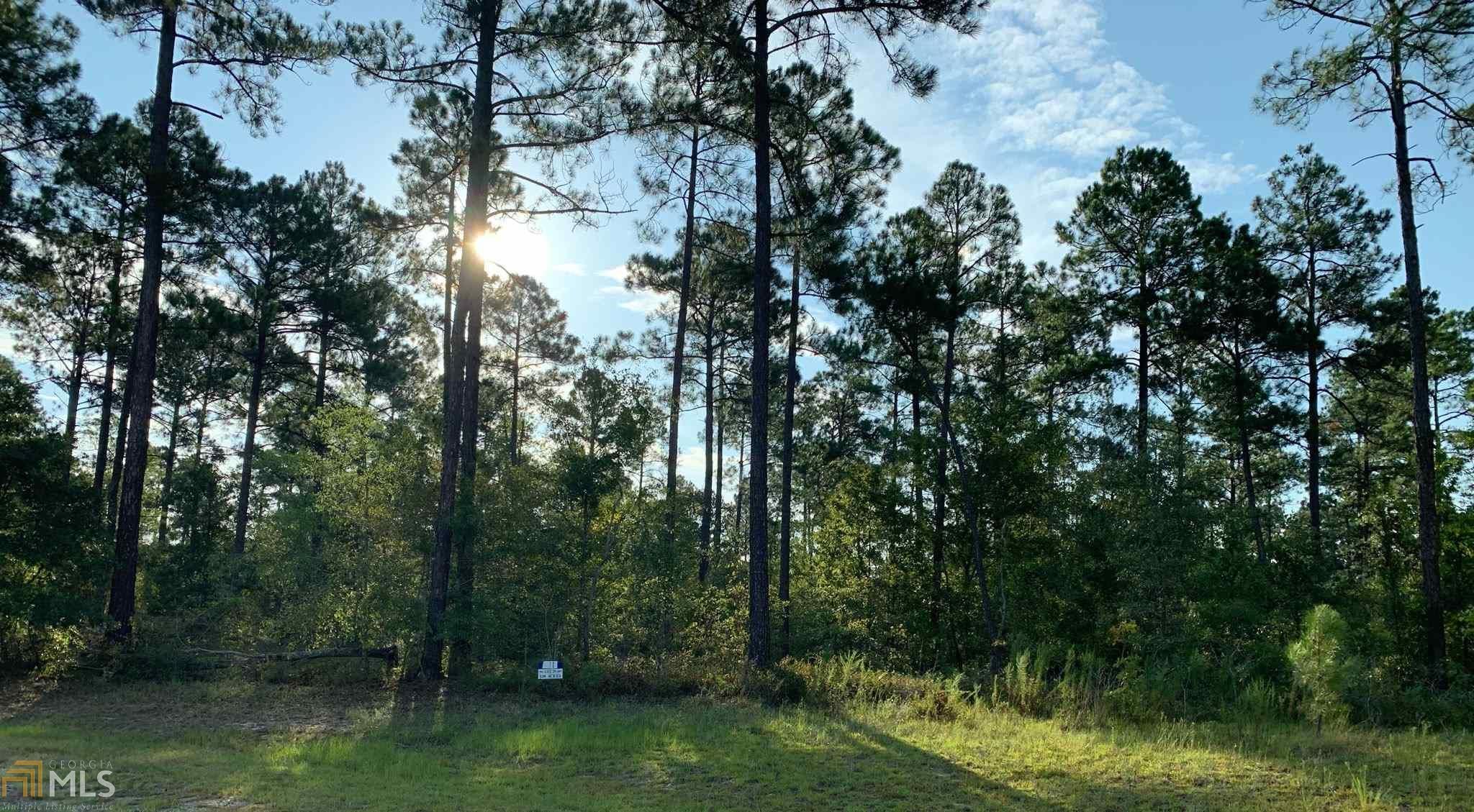Eastman, Dodge County, GA Undeveloped Land for sale Property ID