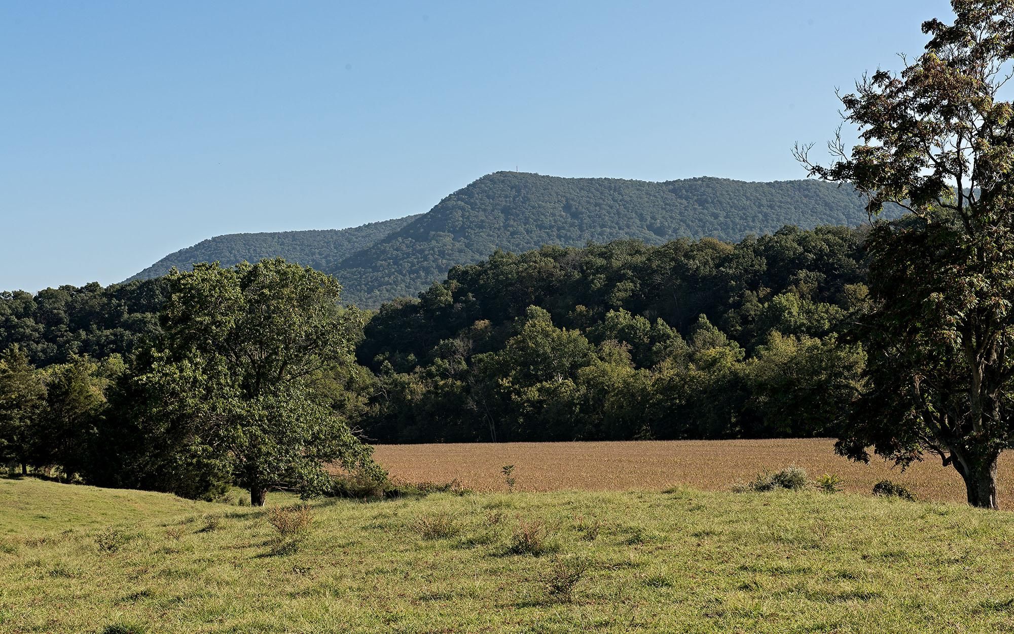 Strasburg, Shenandoah County, VA Undeveloped Land for sale Property ID