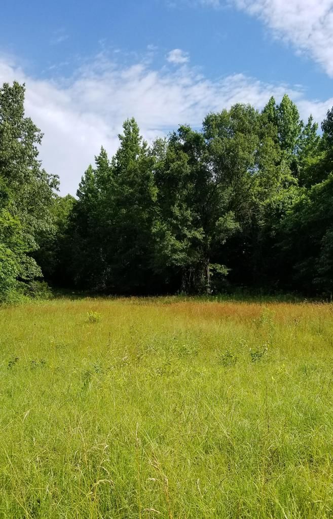 Grenada, Grenada County, MS Undeveloped Land for sale Property ID