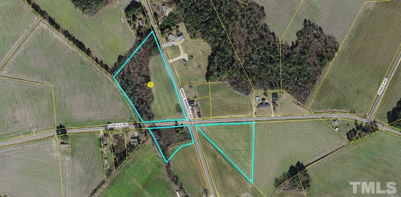 Newton Grove, Sampson County, NC Undeveloped Land for sale Property ID