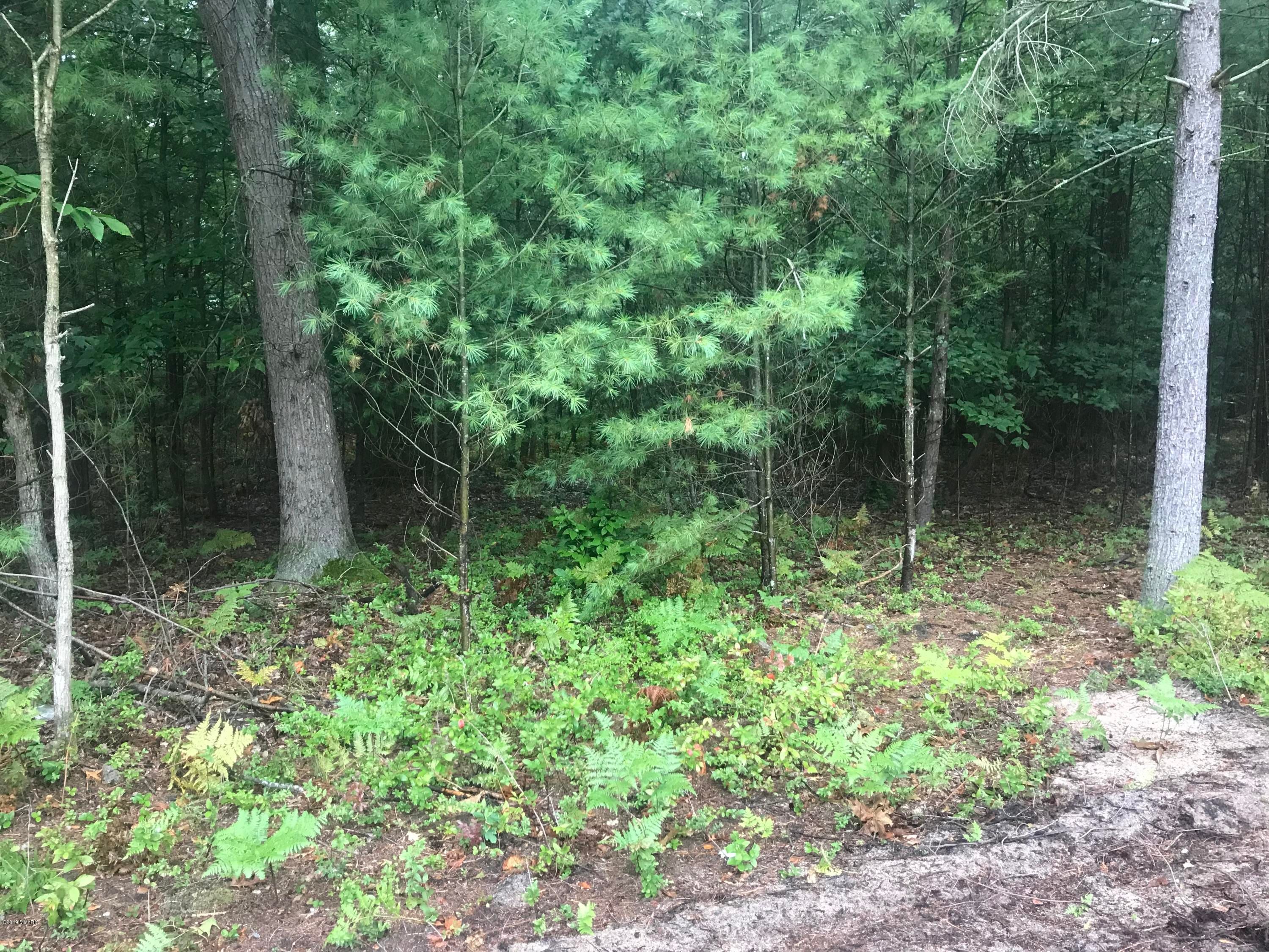 Shelby, Oceana County, MI Undeveloped Land for sale Property ID 336139006 LandWatch