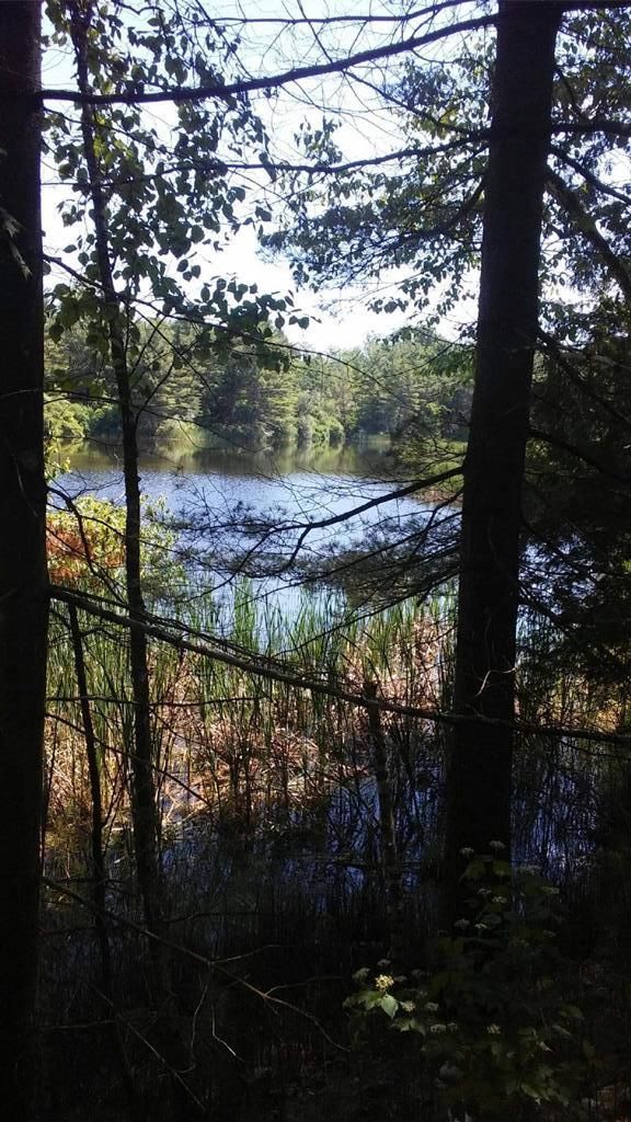 Schuyler Falls, Clinton County, NY Undeveloped Land for sale Property