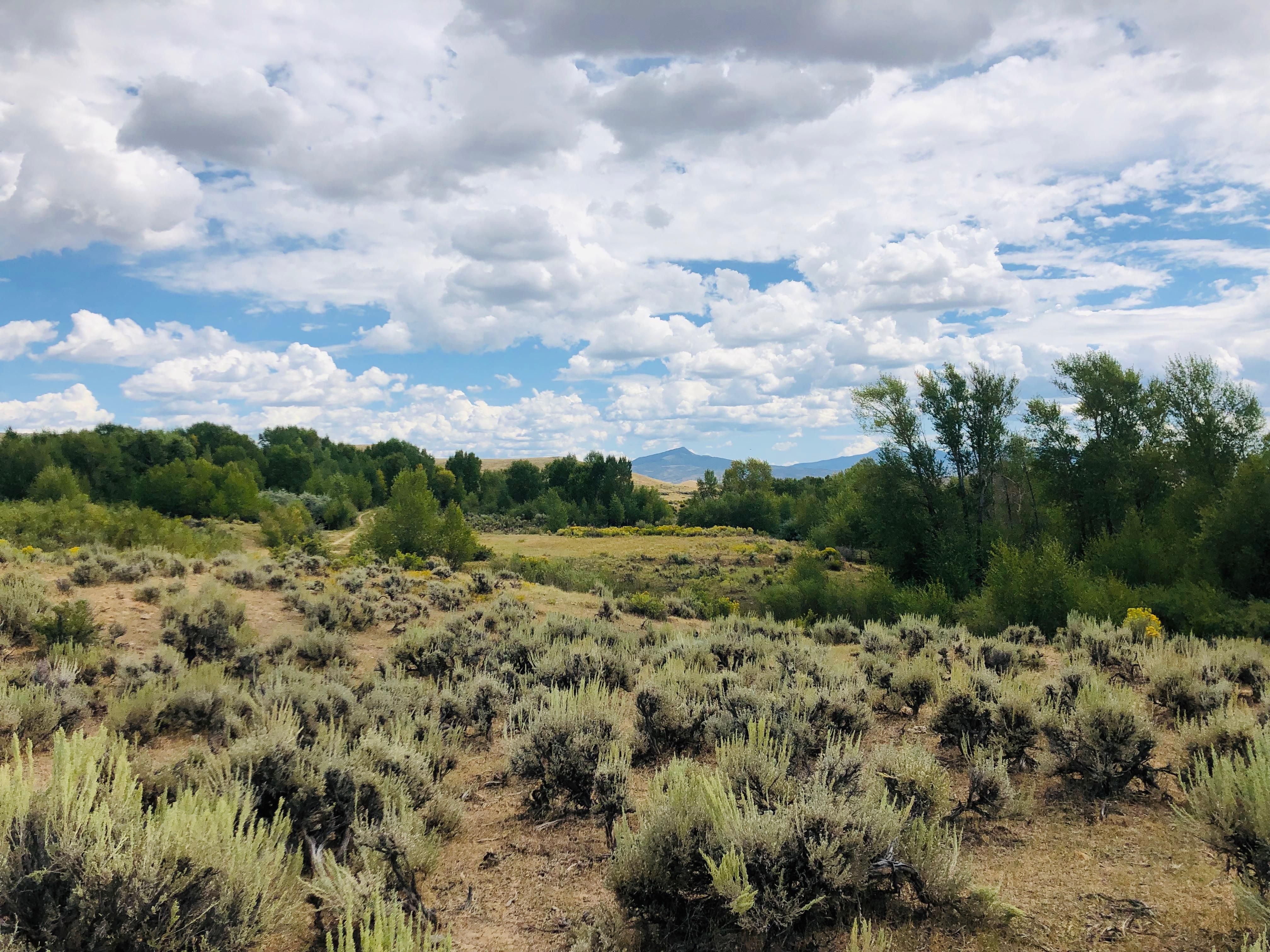 CR 613, Baggs, WY 82321 MLS 25345 LandWatch