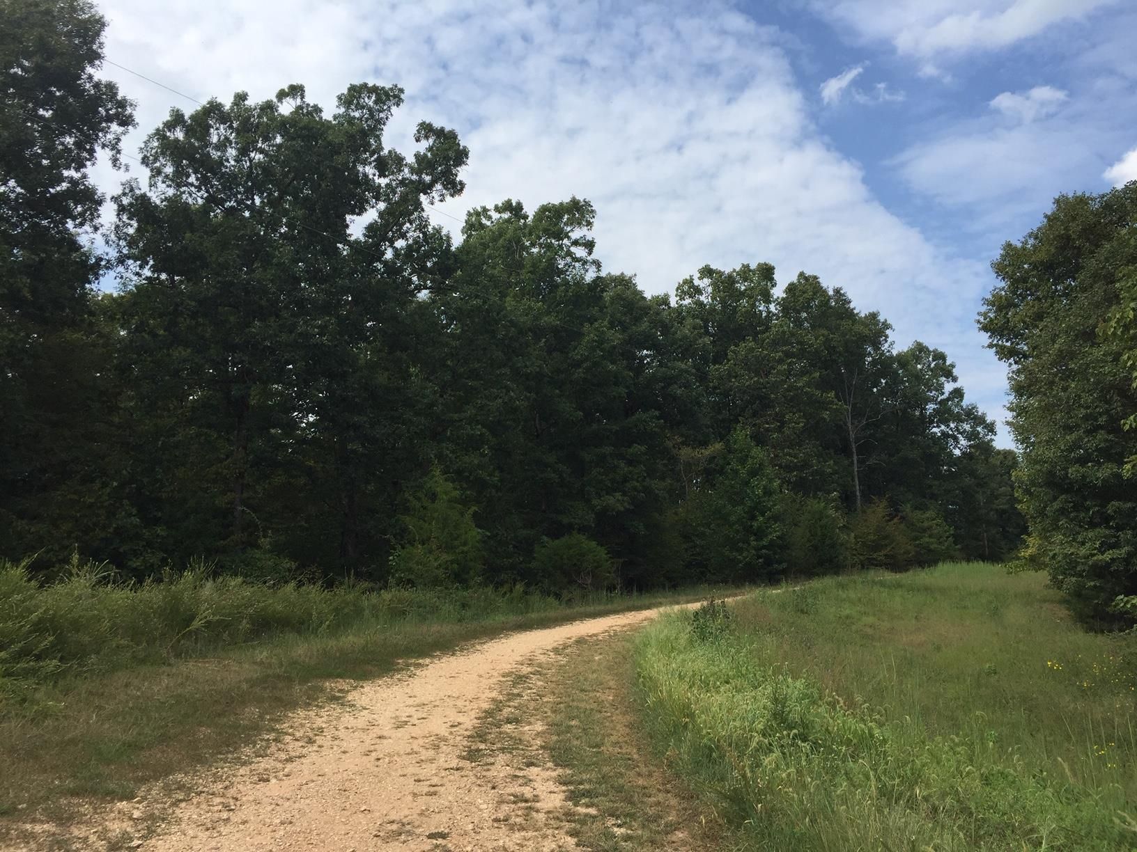 Big Rock, Stewart County, TN Undeveloped Land, Homesites for sale
