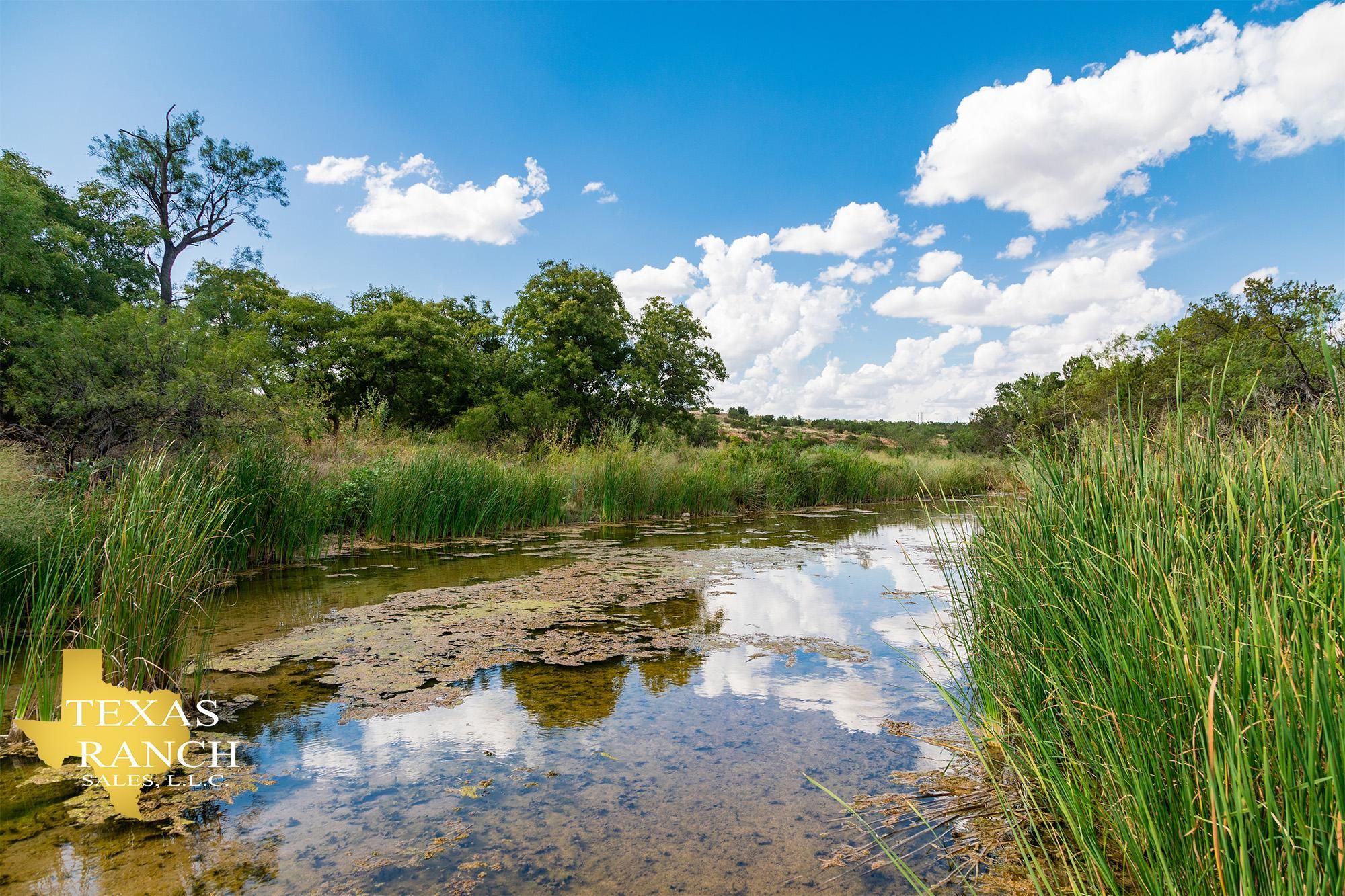 Robert Lee, Coke County, TX Farms and Ranches, Recreational Property