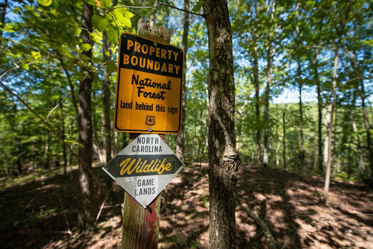 Candor, Montgomery County, NC Recreational Property, Timberland