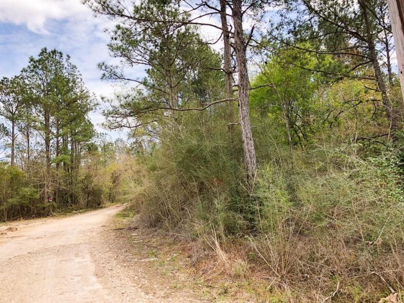 Mauriceville, Newton County, TX Recreational Property, Timberland