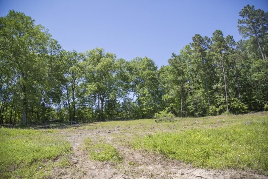 Point Blank, San Jacinto County, TX Farms and Ranches, Recreational