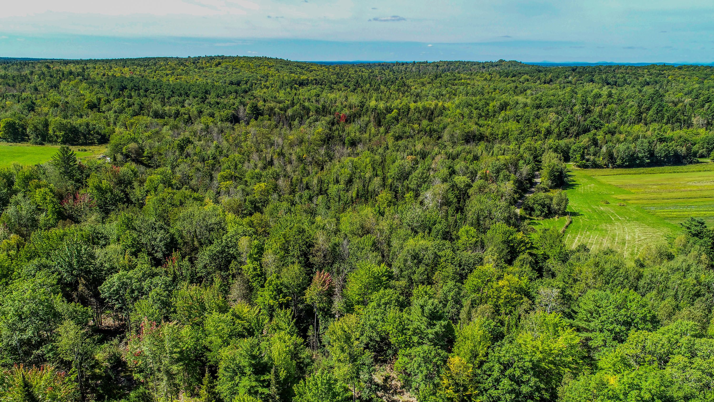 Plymouth, Penobscot County, ME Undeveloped Land for sale Property ID