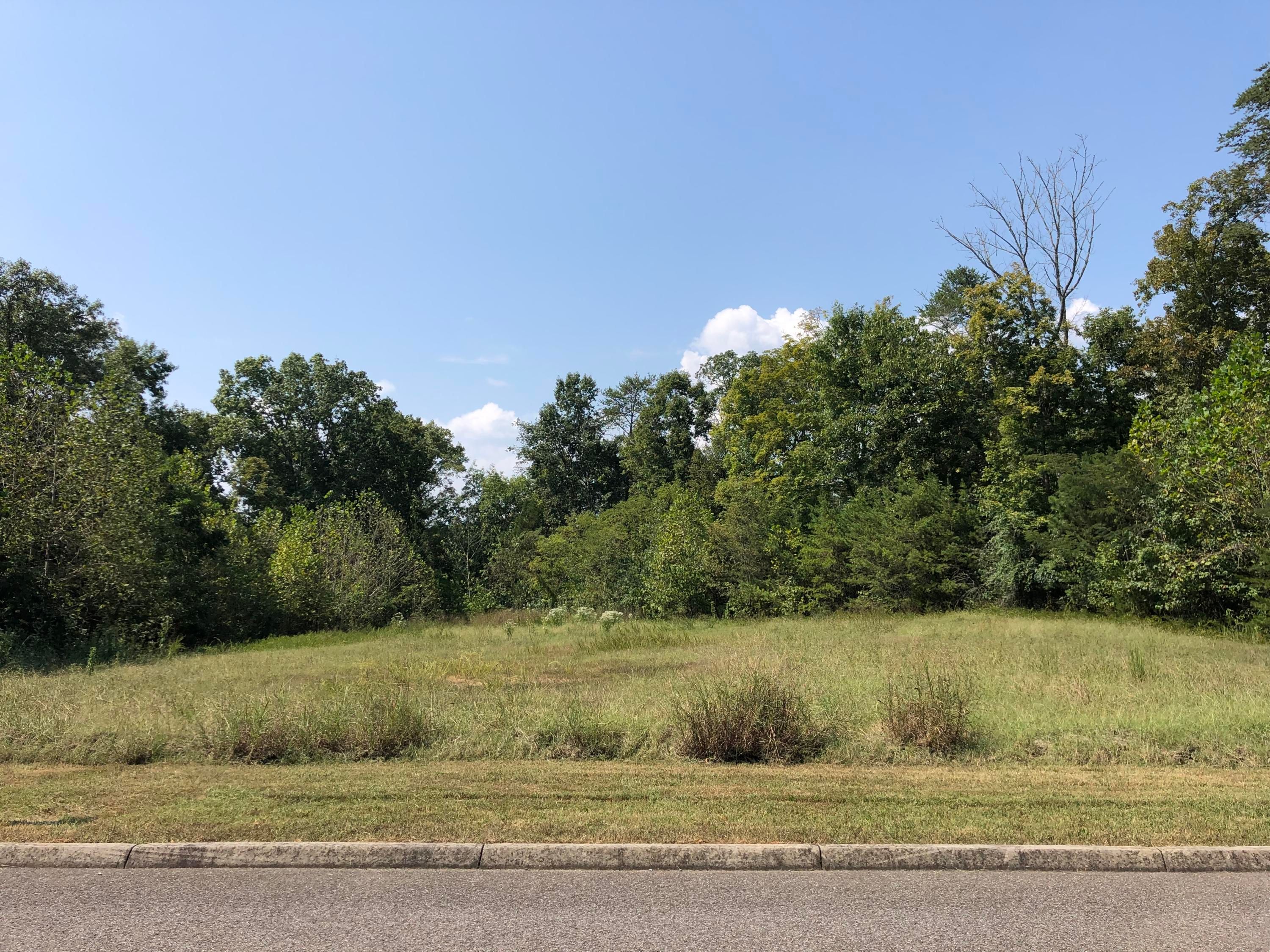 Knoxville, Knox County, TN Undeveloped Land, Homesites for sale
