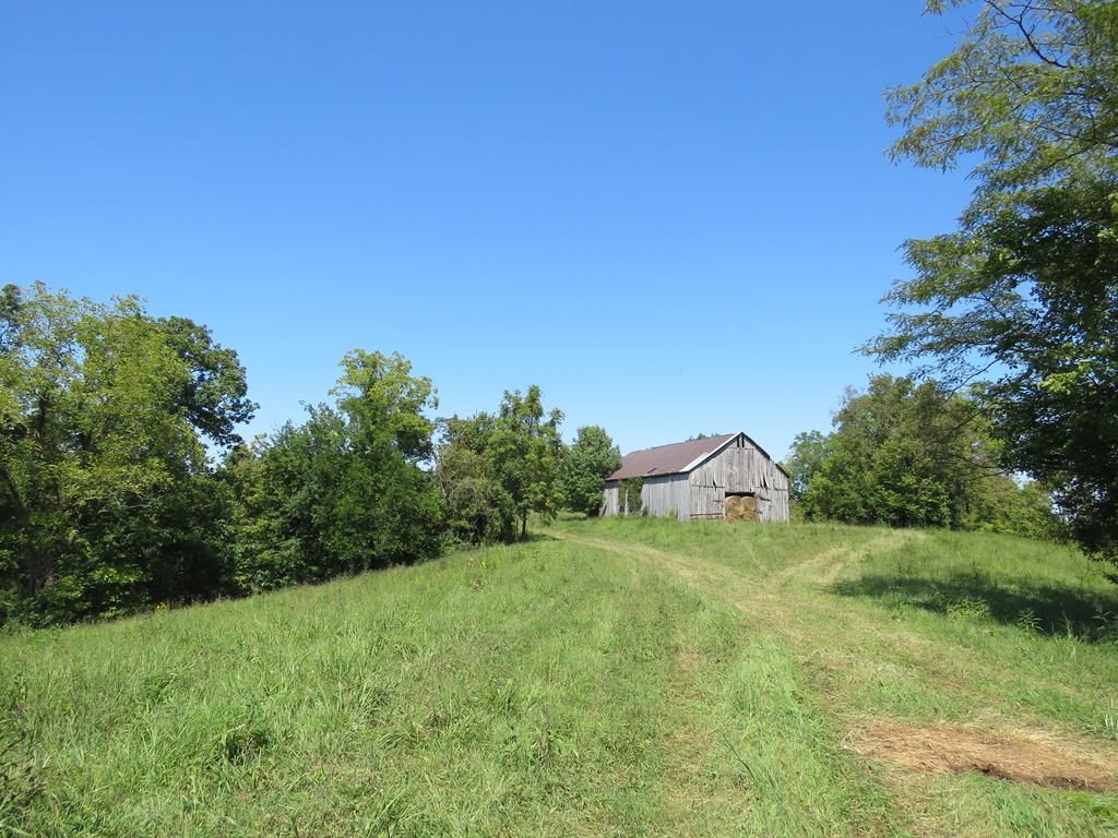 Carlisle, Nicholas County, KY Undeveloped Land, Lakefront Property