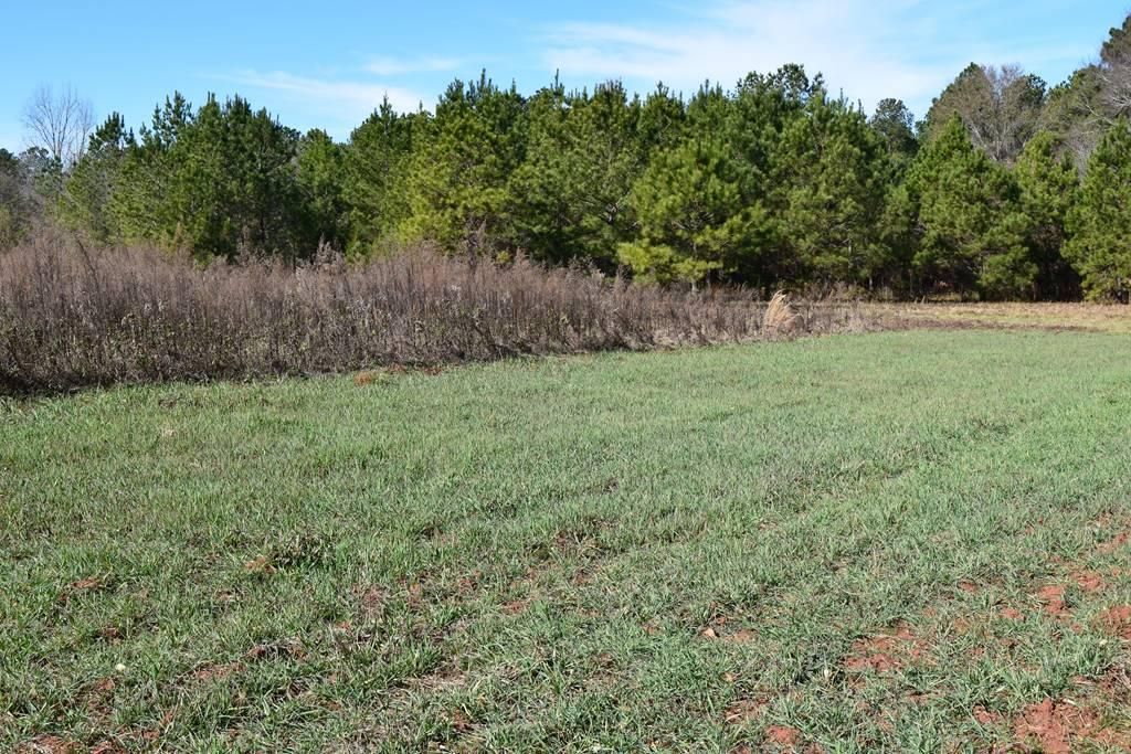 Dawson, Terrell County, GA Recreational Property, Timberland Property