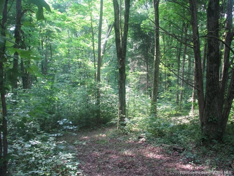 Floyds Knobs, Floyd County, IN Undeveloped Land for sale Property ID