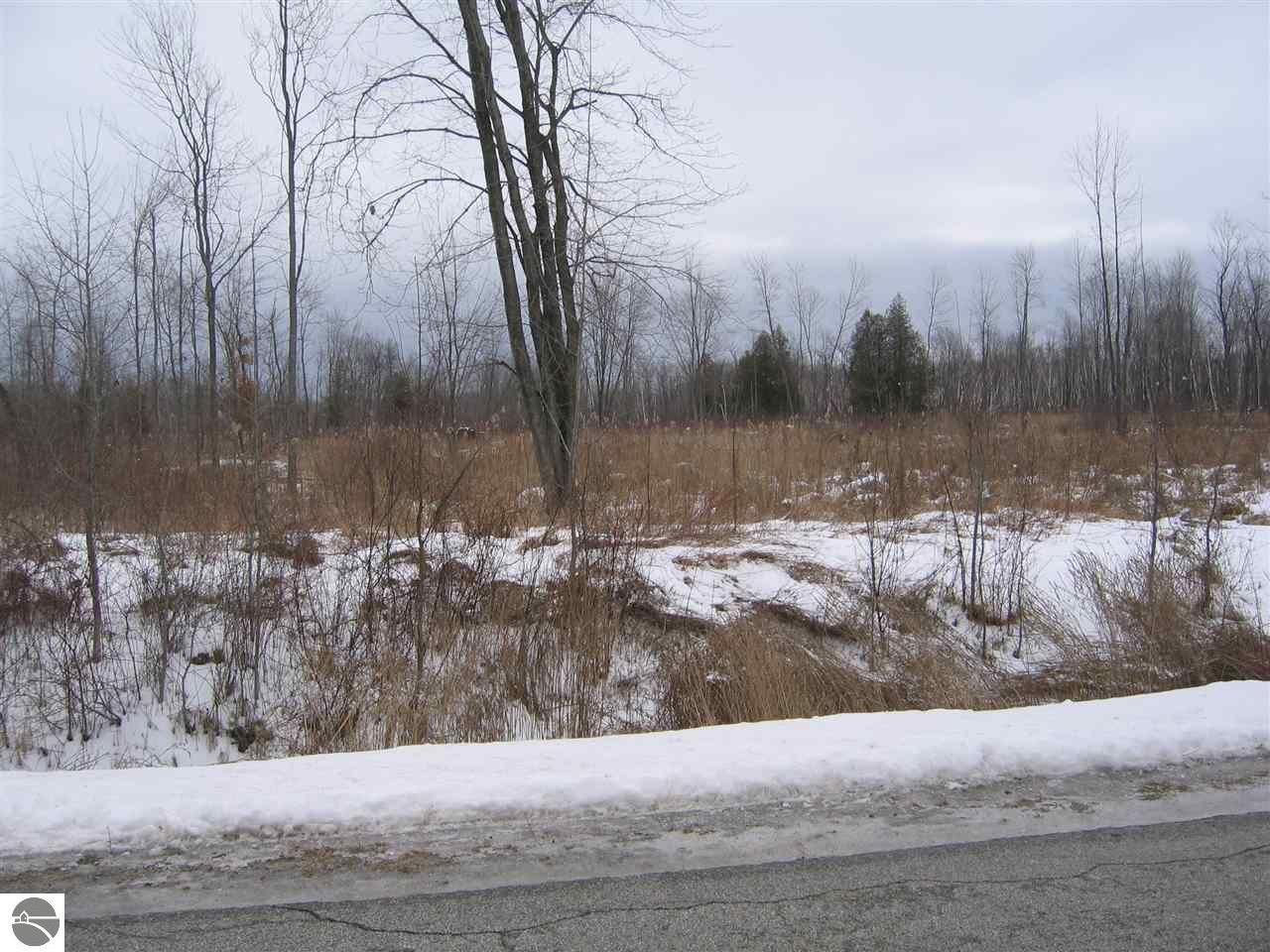 Au Gres, Arenac County, MI Undeveloped Land for sale Property ID