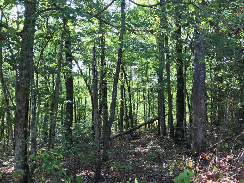 Monterey, Cumberland County, TN Undeveloped Land, Homesites for sale