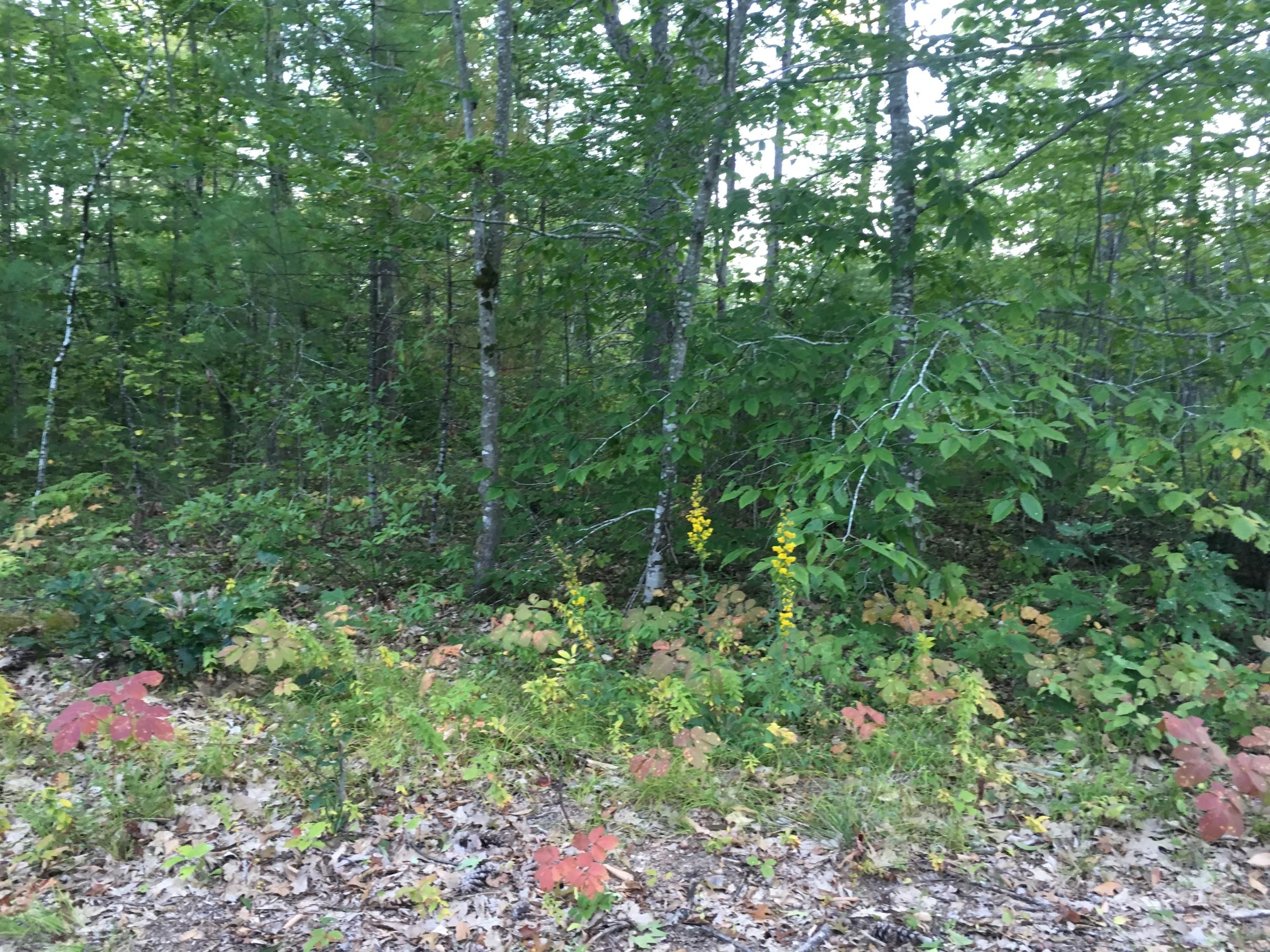 Baldwin, Cumberland County, ME Undeveloped Land for sale Property ID