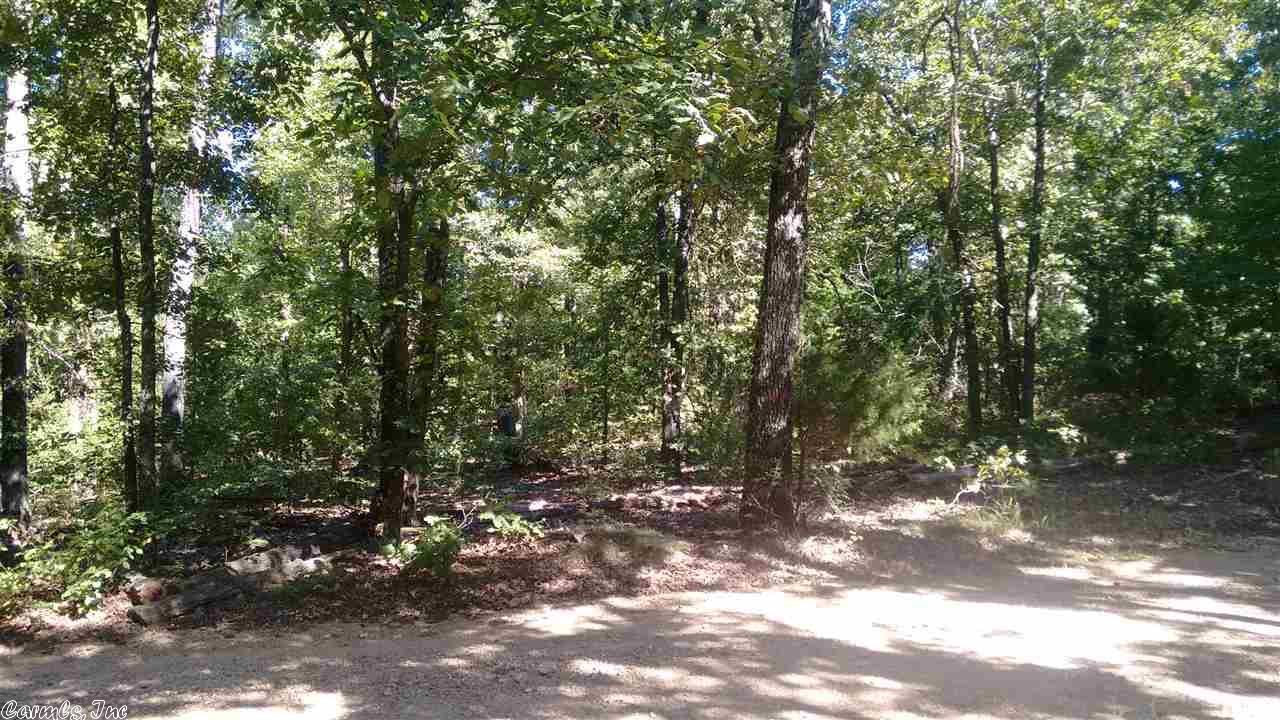 Dalton, Randolph County, AR Undeveloped Land for sale Property ID