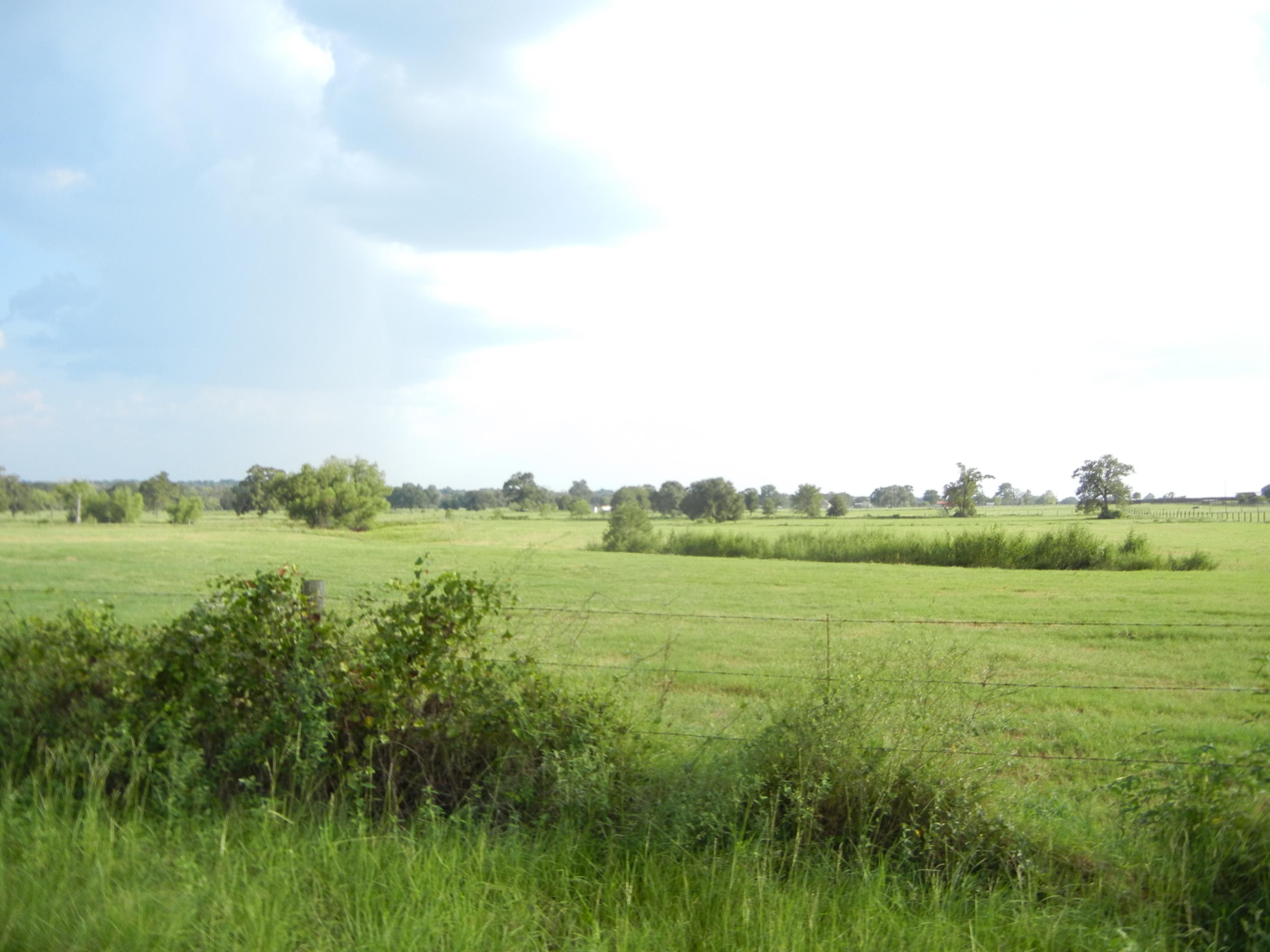 Hempstead, Waller County, TX Recreational Property, Undeveloped Land