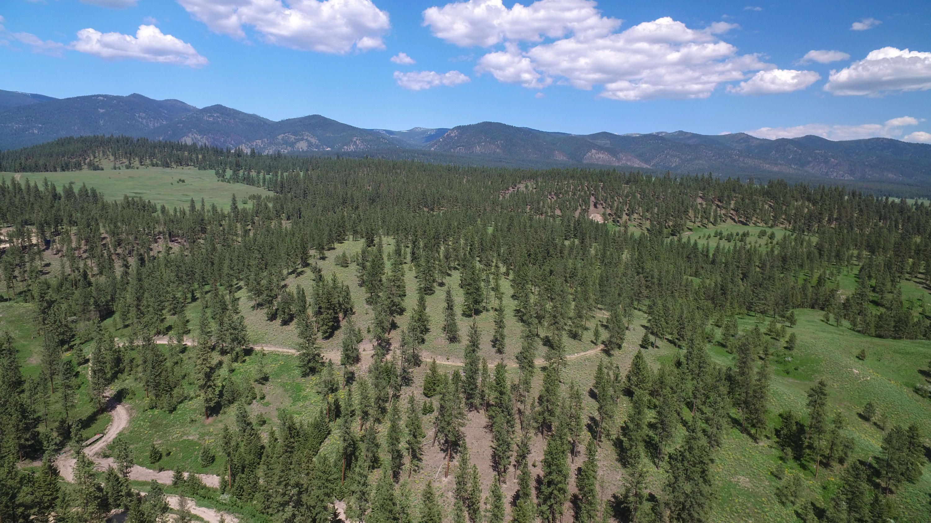 Huson, Missoula County, MT Undeveloped Land for sale Property ID