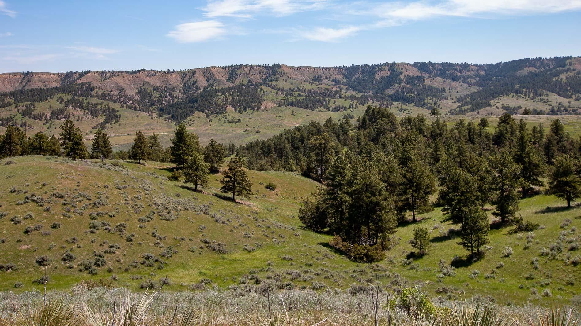 Denton, Fergus County, MT Farms and Ranches, Hunting Property for sale