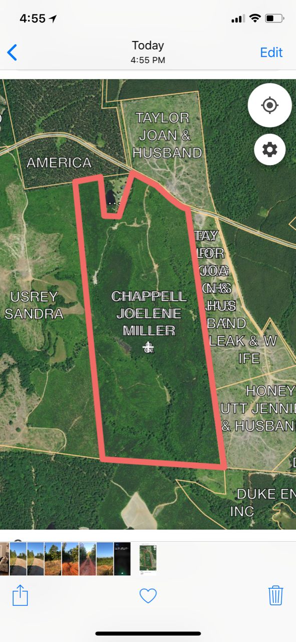 Lilesville, Anson County, NC Timberland Property, Hunting Property for