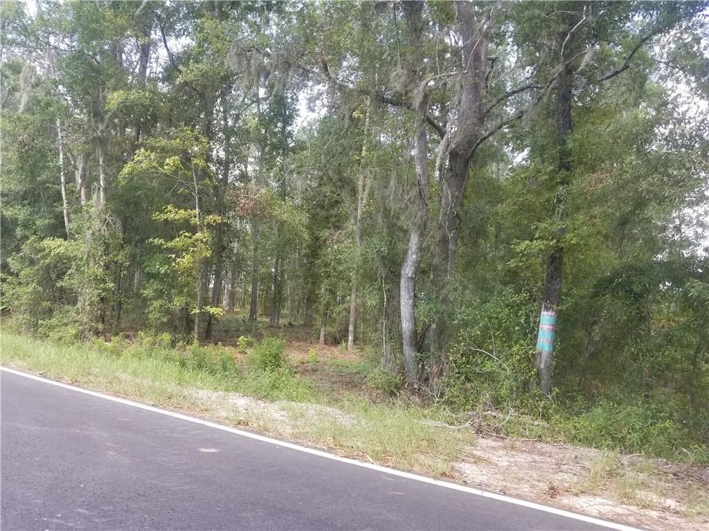 Everett, Glynn County, GA Undeveloped Land, Homesites for sale Property