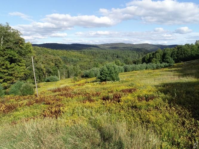 Vermont 66, Randolph, VT 05061 MLS 4776338 LandWatch