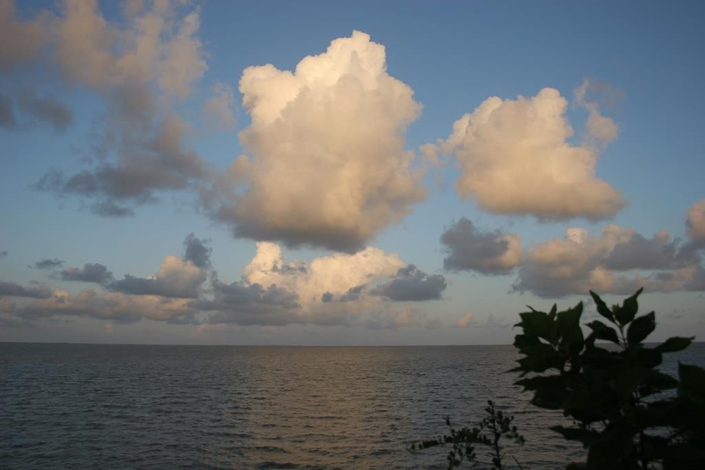 Austwell, Refugio County, TX Undeveloped Land, Homesites for sale