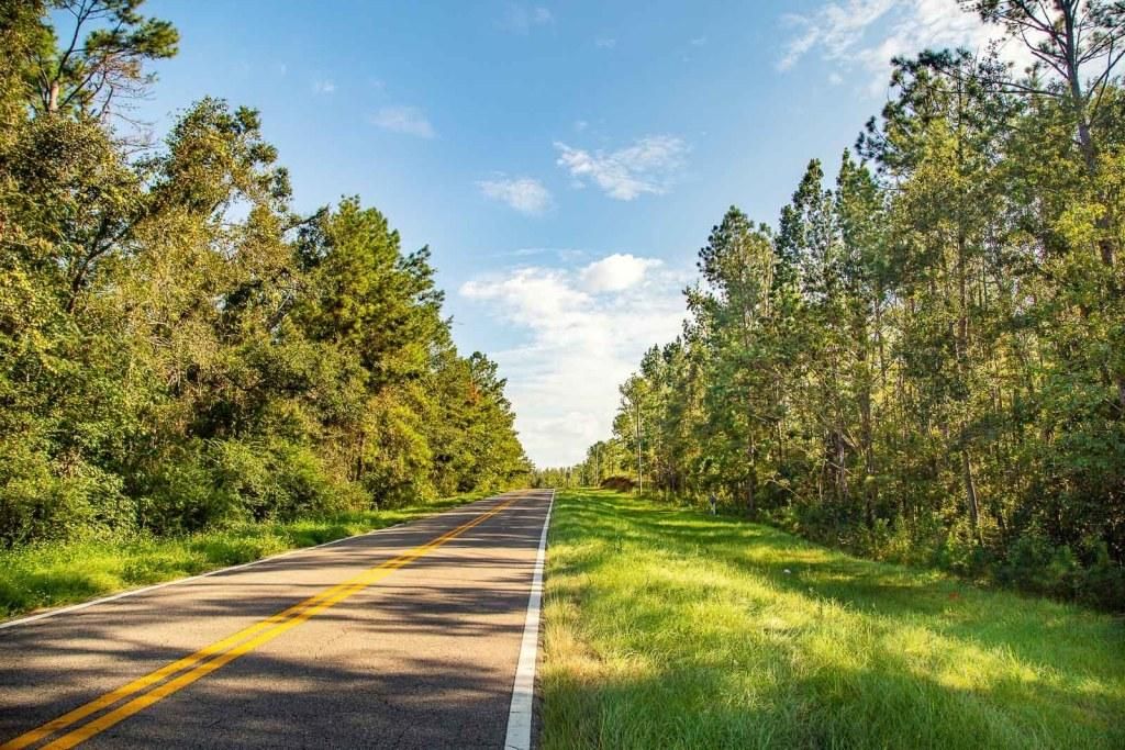 Chattahoochee, Gadsden County, FL Recreational Property, Undeveloped