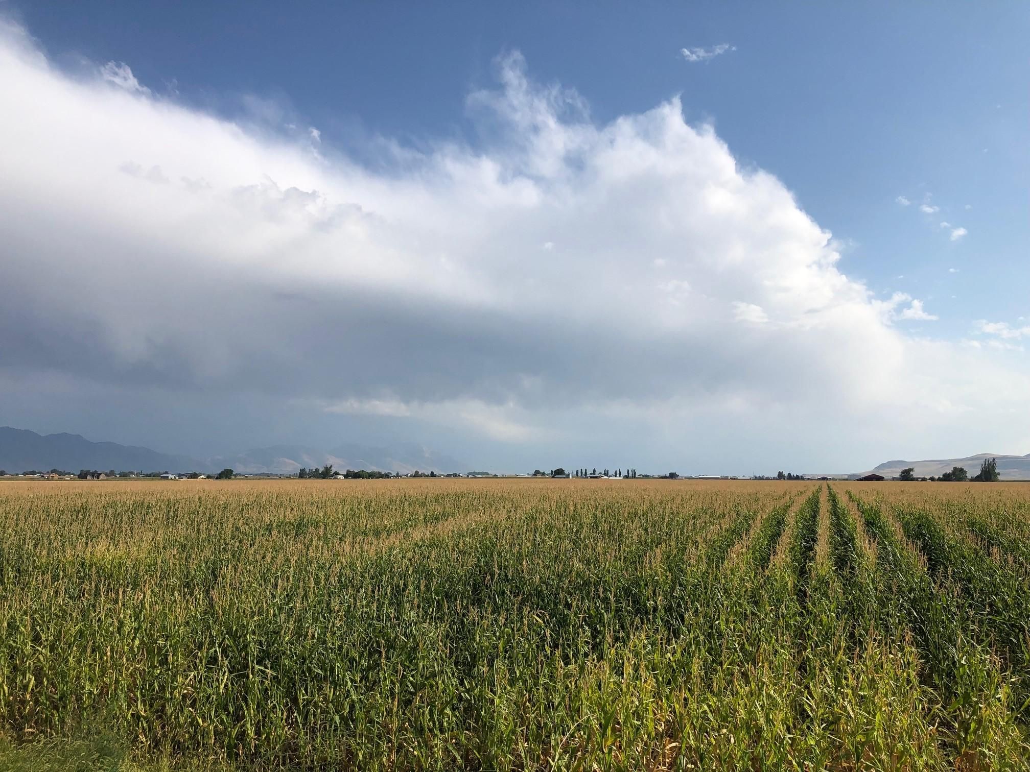 Tremonton, Box Elder County, UT Farms and Ranches, House for sale