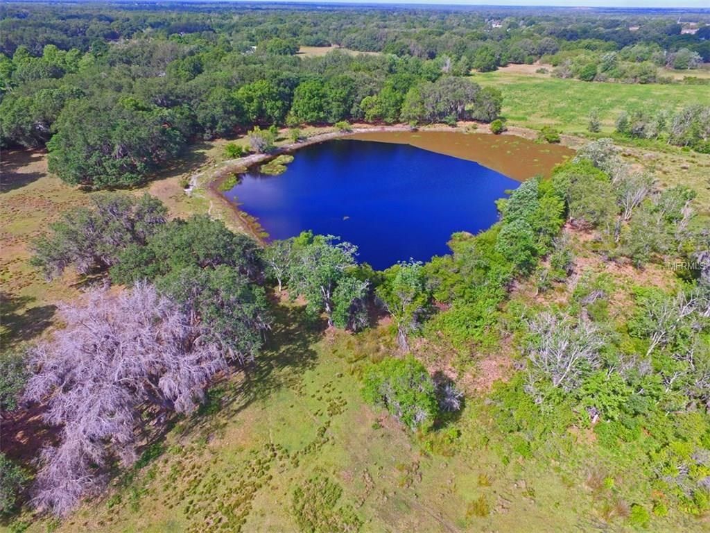 Arcadia, DeSoto County, FL Undeveloped Land for sale Property ID