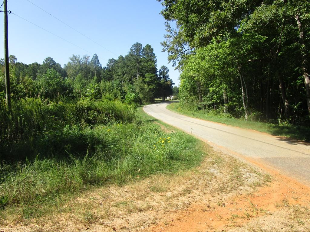 Kenbridge, Lunenburg County, VA Undeveloped Land for sale Property ID