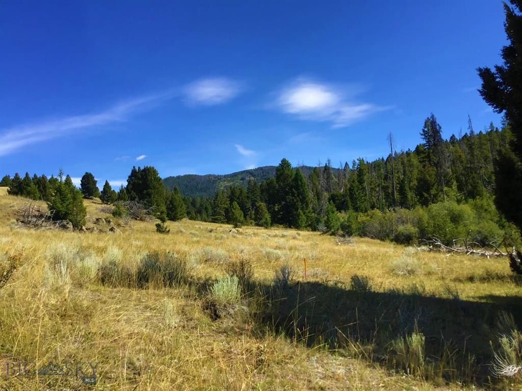 Deer Lodge, Deer Lodge County, MT Undeveloped Land for sale Property ID