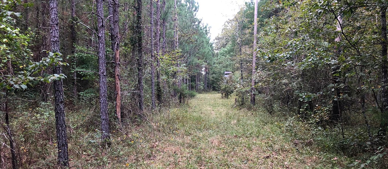 Lyerly, Chattooga County, GA Recreational Property, Hunting Property