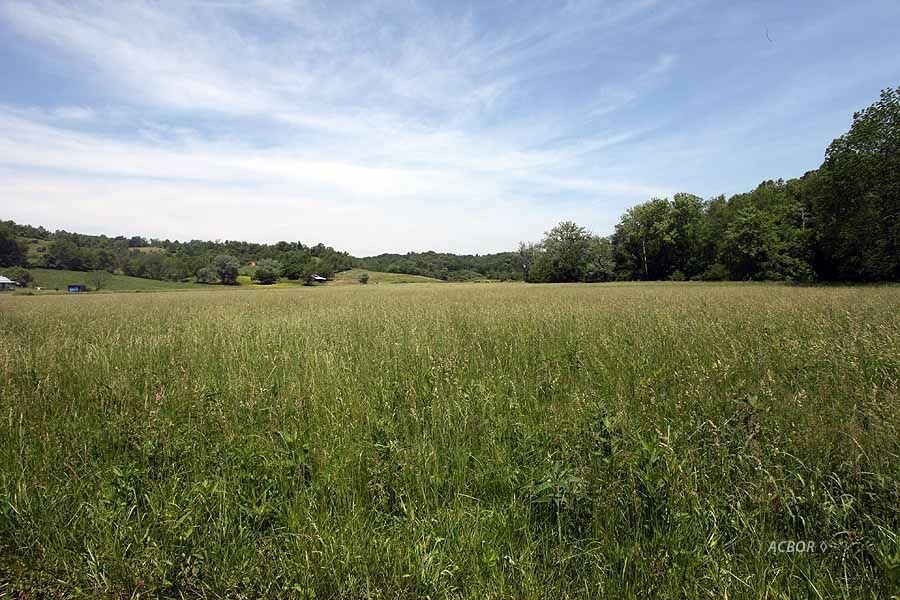 Patriot, Gallia County, OH Undeveloped Land for sale Property ID