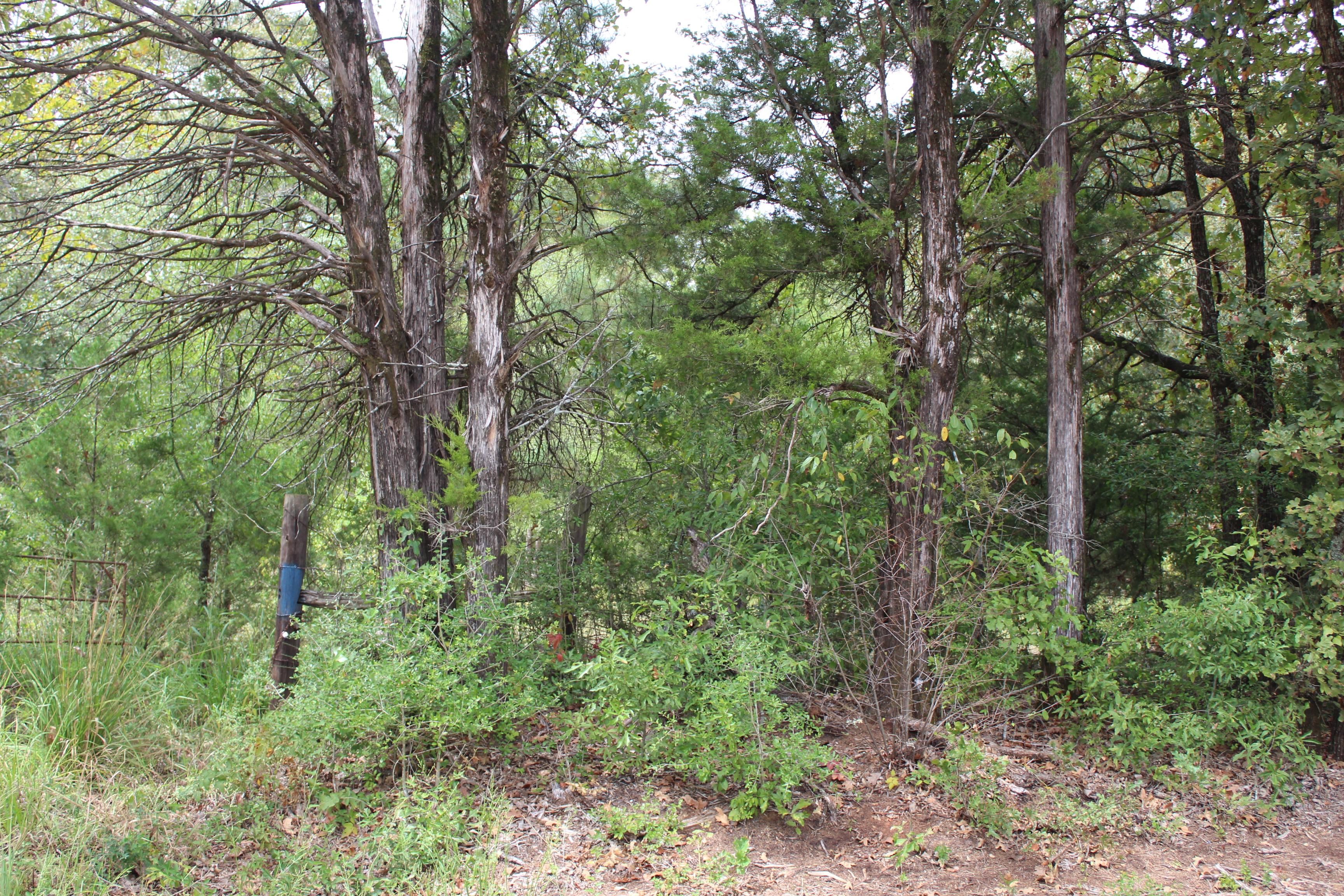 Oakwood, Freestone County, TX Recreational Property, Undeveloped Land