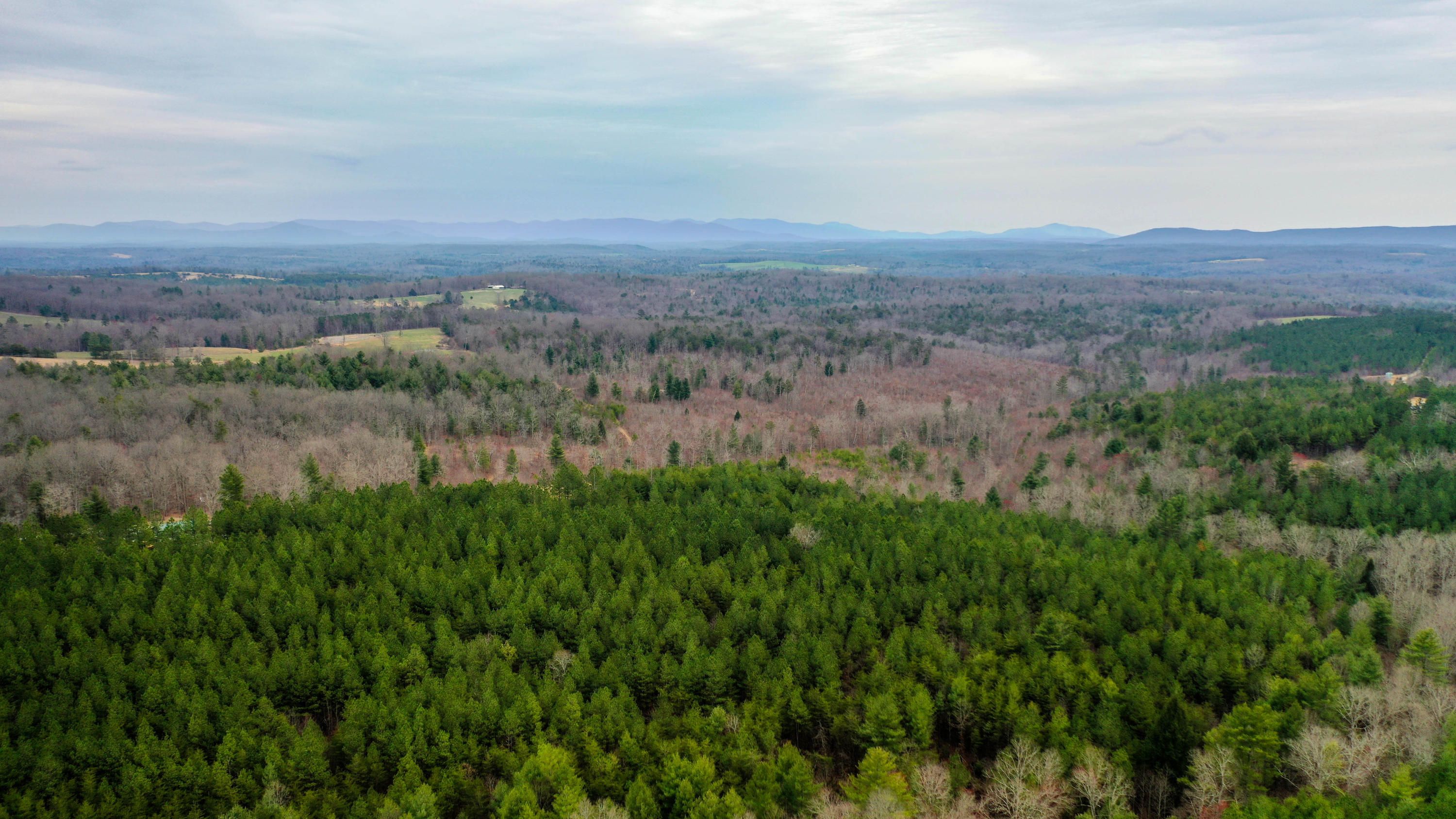 Deer Lodge, County, TN Undeveloped Land for sale Property ID