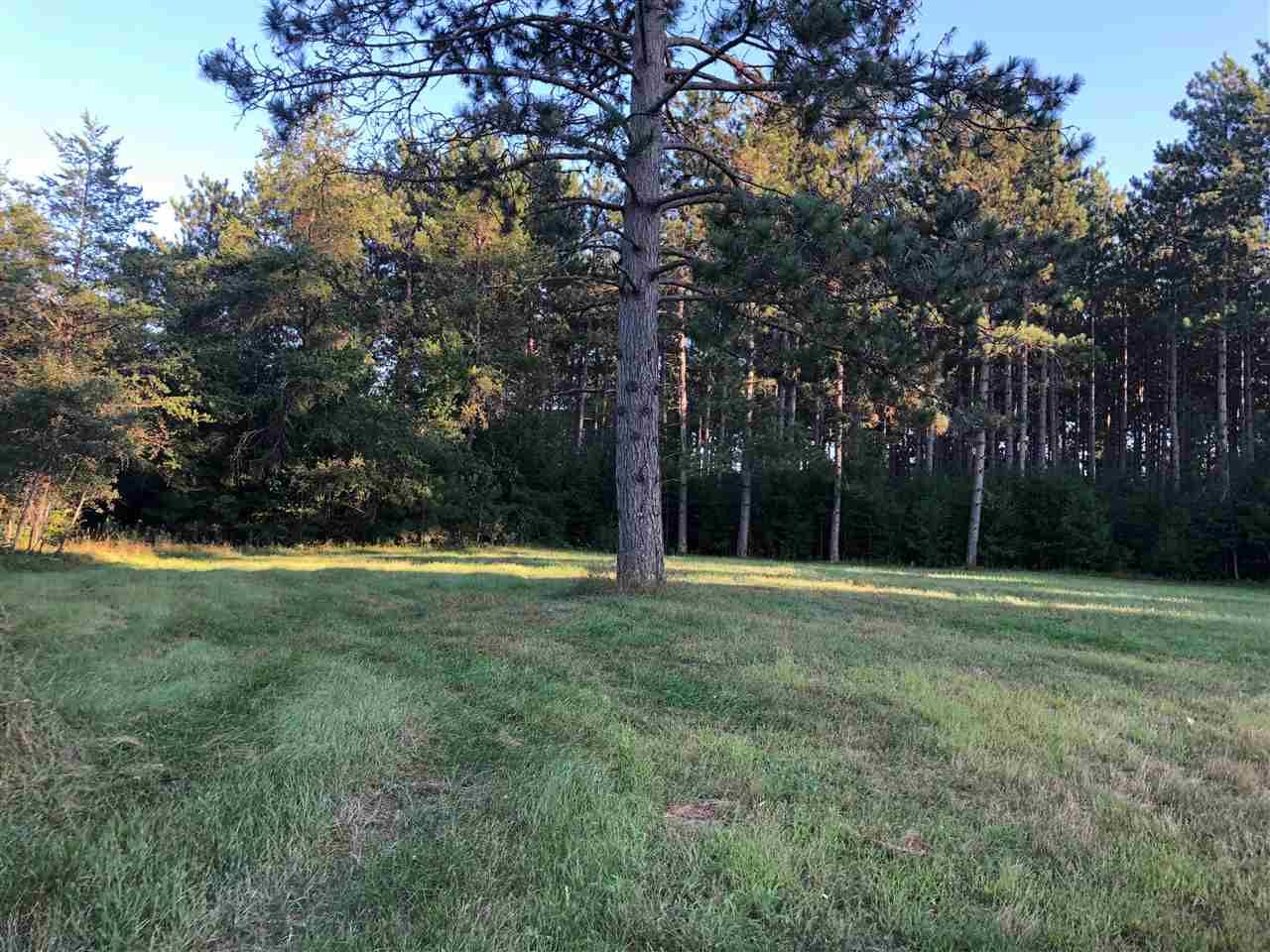 Friendship, Adams County, WI Undeveloped Land for sale Property ID