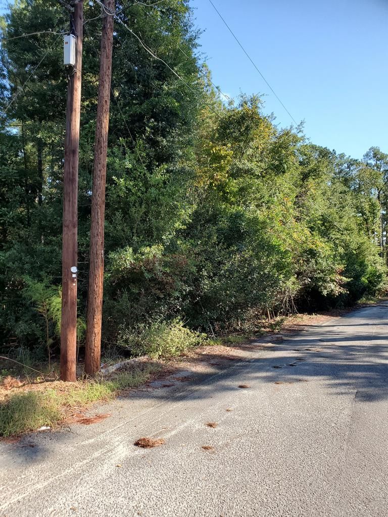 Allendale, Allendale County, SC Undeveloped Land, Homesites for sale Property ID 336334570