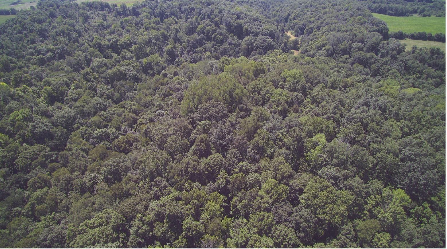 La Farge, Vernon County, WI Recreational Property, Hunting Property for