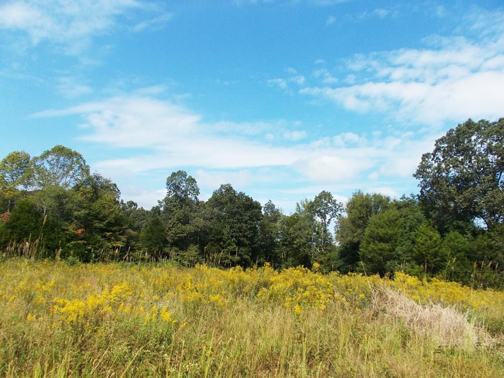 Buena Vista, Carroll County, TN Undeveloped Land for sale Property ID