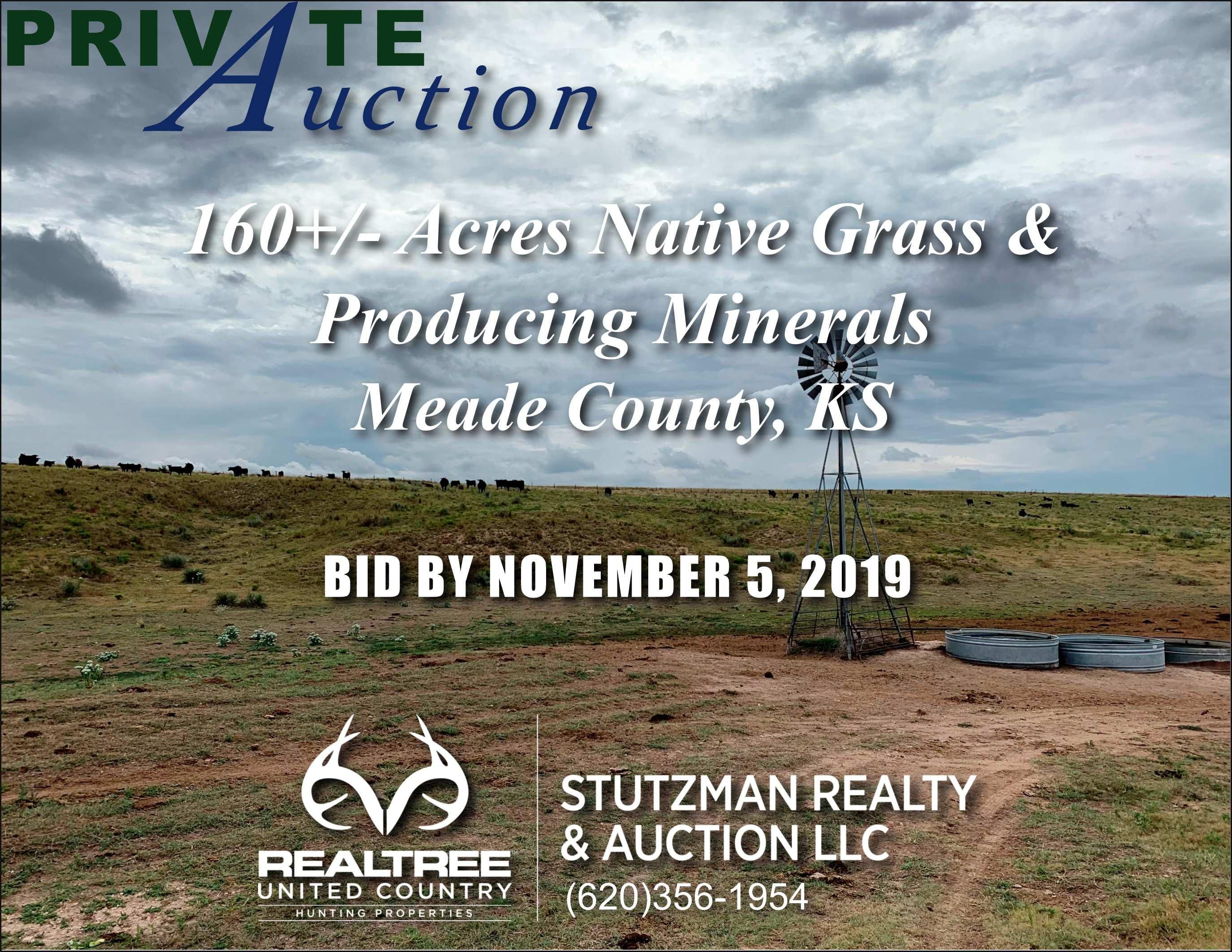 Meade, Meade County, KS Farms and Ranches, Hunting Property for sale