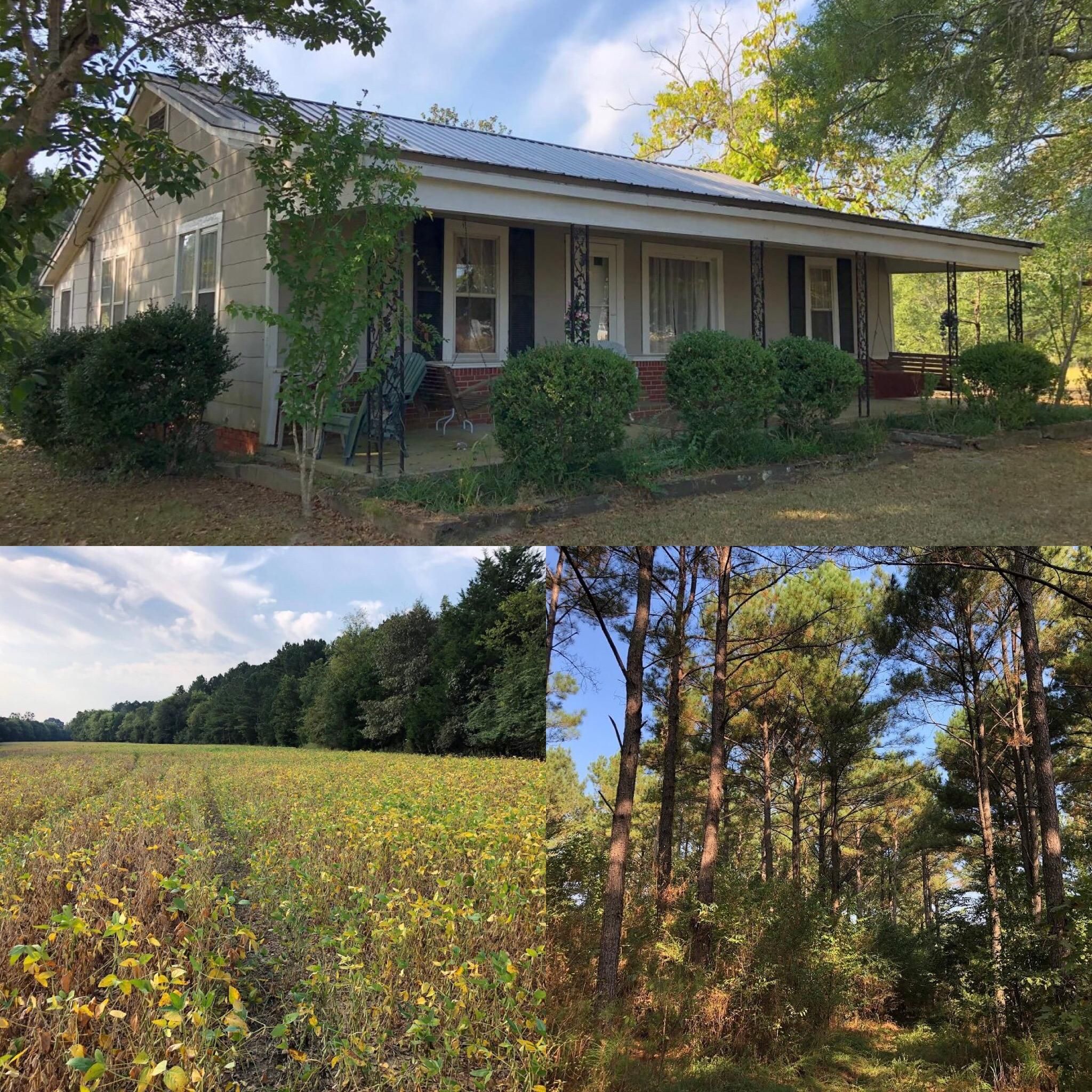 Baldwyn, Prentiss County, MS Farms and Ranches, Timberland Property