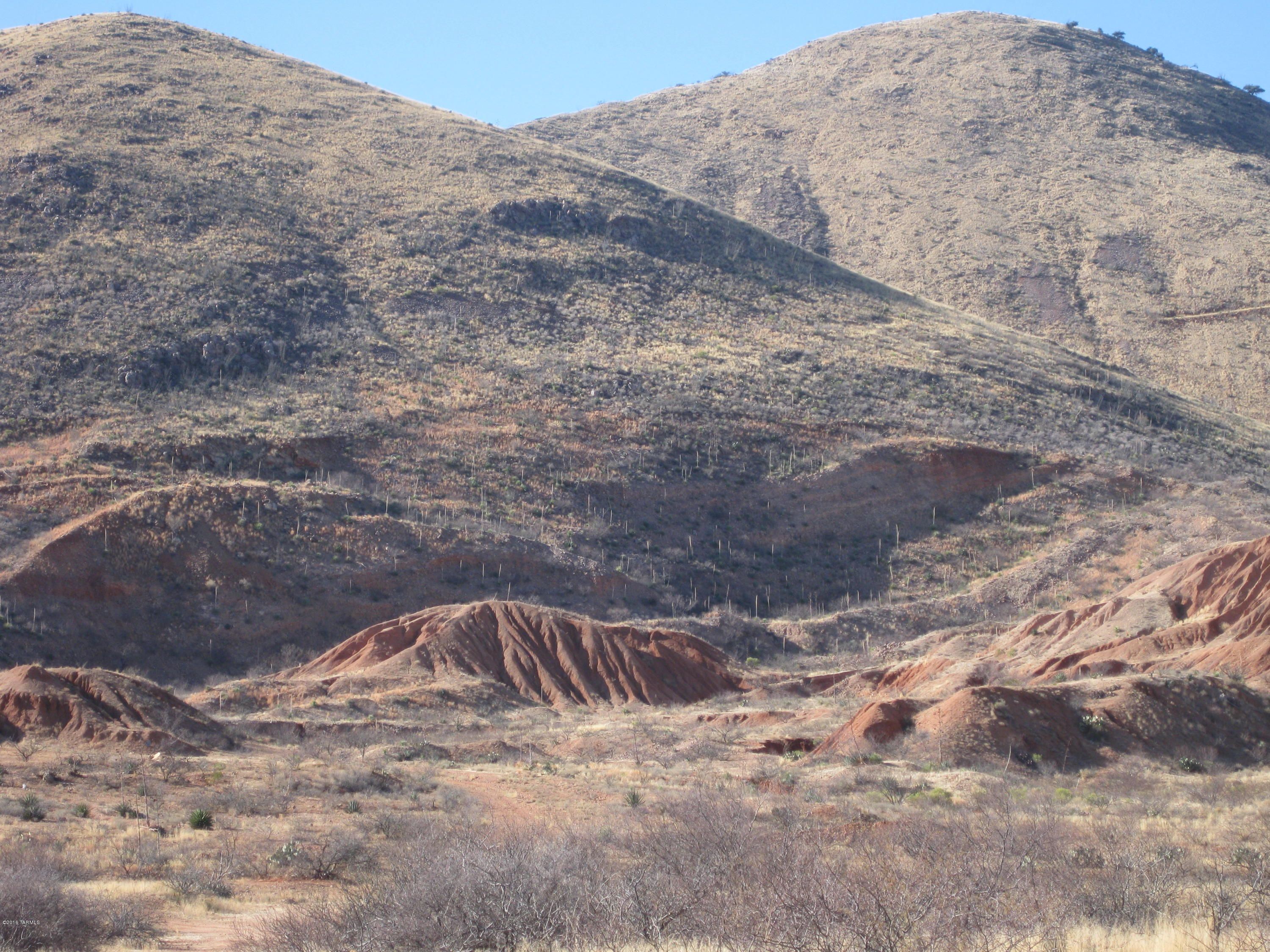Elfrida, Cochise County, AZ Undeveloped Land for sale Property ID