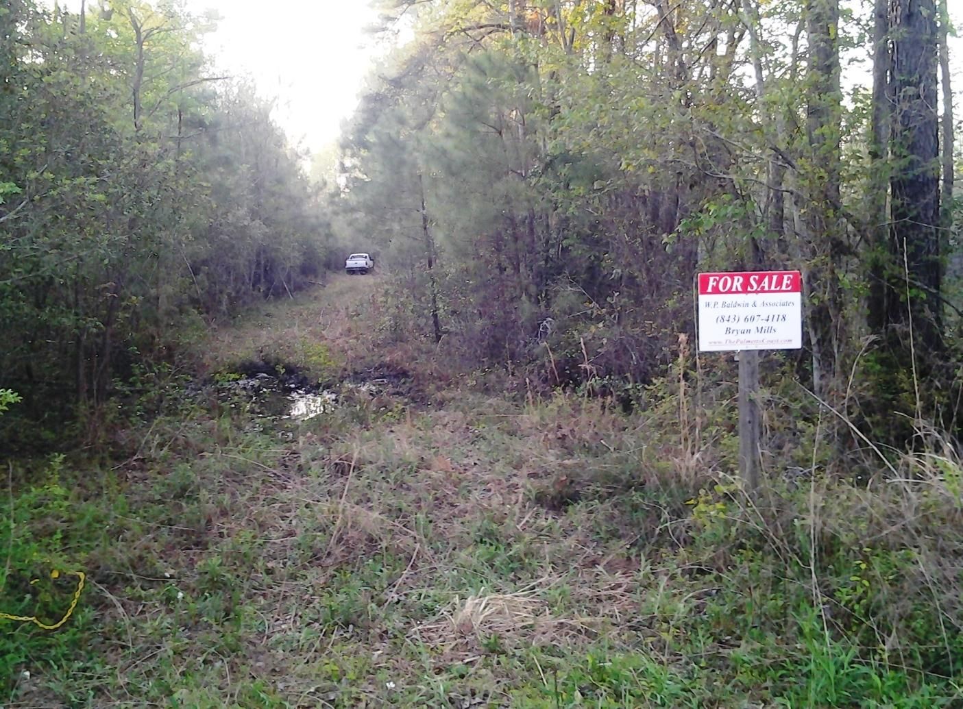 Ritter, Colleton County, SC Undeveloped Land, Lakefront Property