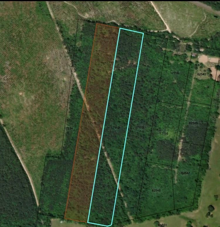 Colmesneil, Tyler County, TX Undeveloped Land for sale Property ID