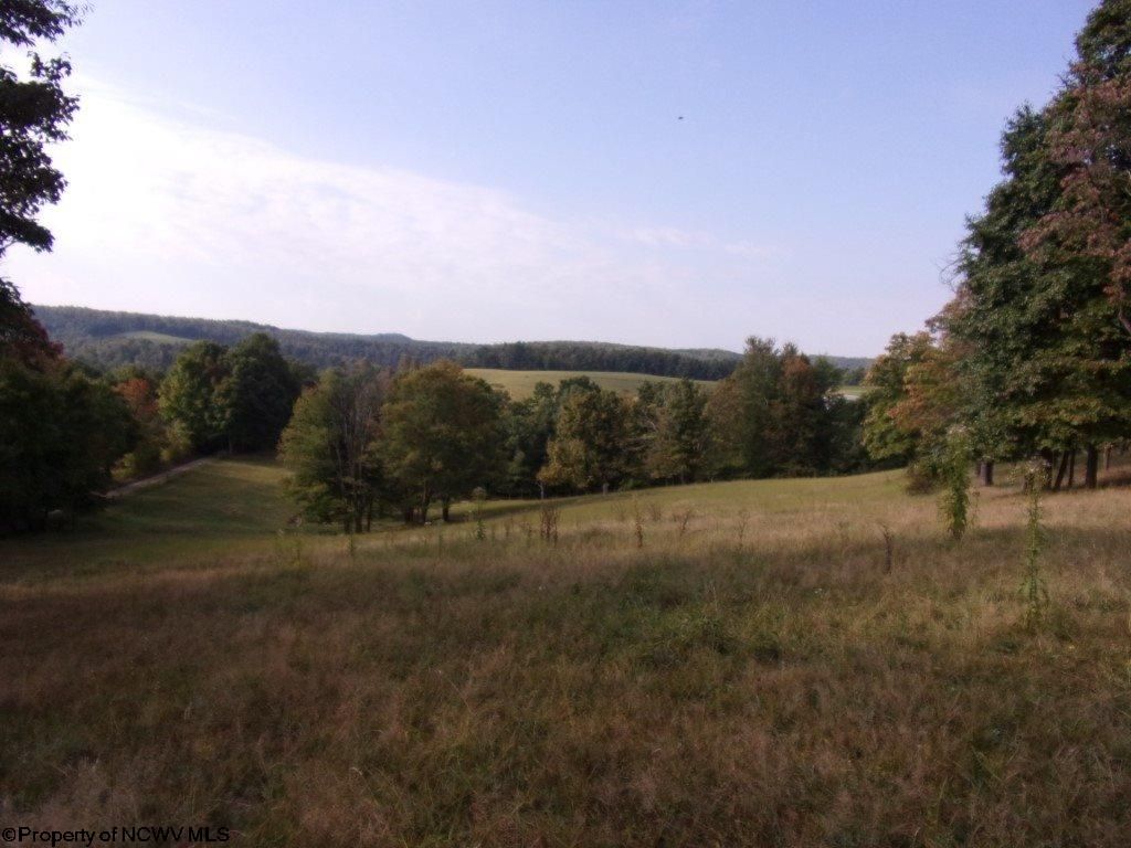 Belington, Barbour County, WV Farms and Ranches for sale Property ID